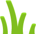 Small grass